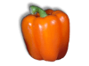 Captcha image 9398